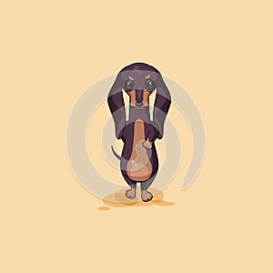 Vector stock illustration emoji of cartoon character dog talisman, phylactery hound, mascot pooch, bowwow dachshund photo