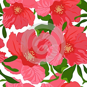 Vector stock illustration of a pomegranate Flower. Red delicate flower close-up. rosebud with delicate petals. An endless pattern