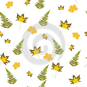 Vector stock illustration seamless pattern with autumn maple leaves branches of green fern orange, beige, brown and yellow colors.