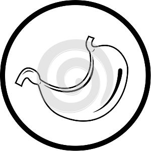 Vector stomach icon