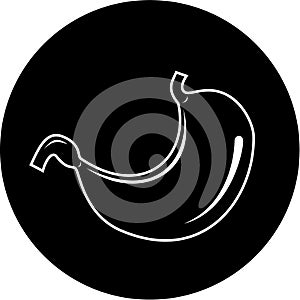 Vector stomach icon