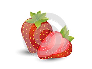 Vector Strawberries fruits isolated on white background