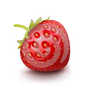 Vector Strawberry Isolated