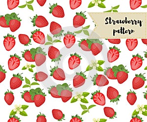 Vector strawberry seamless pattern. background, pattern, fabric design, wrapping paper, cover