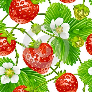 Vector strawberry seamless pattern on white backgr