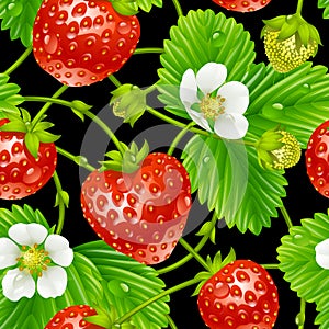 Vector strawberry seamless pattern on white backgr
