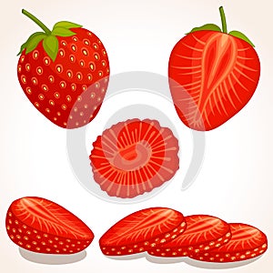 Vector strawberry. Sliced, whole, half strawberry.