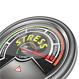 Vector stress conceptual meter indicator