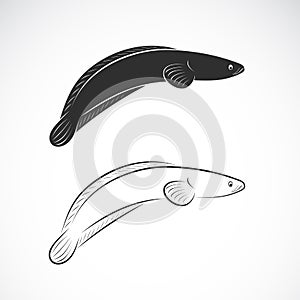 Vector of striped snakehead fish Channa striata on white background. Animal. Aquatic animals. Easy editable layered vector