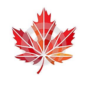 Vector stylize logo with red maple leaf