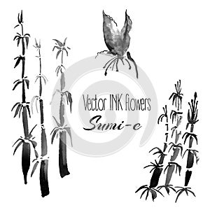 Vector sumi-e traditional elements. Bamboo.