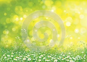 Vector summer nature background.