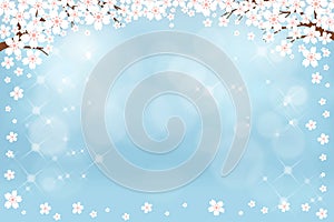 Vector summer nature background with cute white sakura on blue pastel background, Spring background with cherry blossom border and