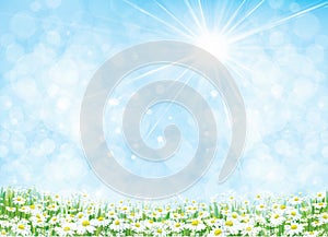 Vector summer nature background.