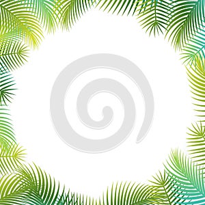 Vector of summer with palm trees background