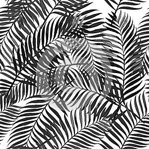 Vector summer seamless pattern with palm leaves.