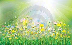 Vector sunshine background with colorful flowers.