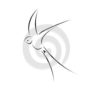 Vector swallow flying design on white background. Bird. icon. Wild Animals. symbol. logo. Illustrator