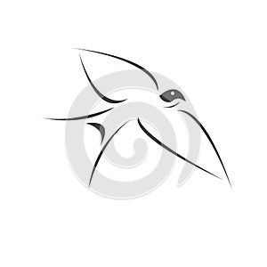 Vector swallow flying design on white background. Bird. icon. Wild Animals. symbol. logo. Illustrator