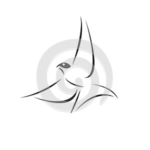 Vector swallow flying design on white background. Bird. icon. Wild Animals. symbol. logo. Illustrator