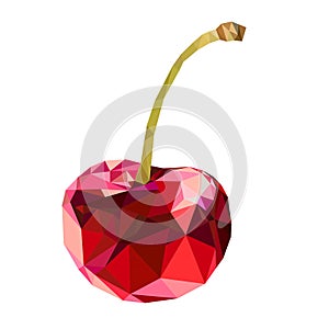 Vector sweet cherry isolated