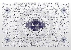 Vector swirls and flourish collection. Hand drawn design elements, flowers sketch