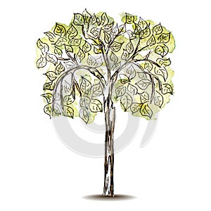 Vector Symbol tree on isolated background