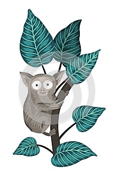 Vector tarsier on a tree with leaves isolated on white background. Tropical animal illustration.