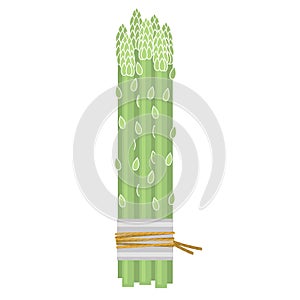 Vector Tasty Fresh Green Asparagus Set Isolated on white Background. Best Food For Vegan. Asparagus Bunch in Cartoon