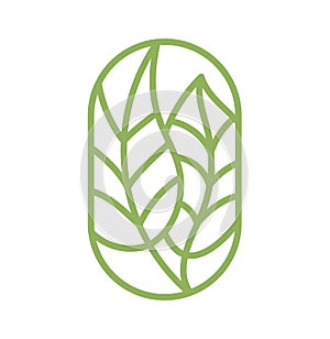 Vector tea green leaves. Lines for Farm Product Label Eco Logo Organic plant design. Round Bauer emblem linear style