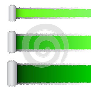 Vector tear paper in green color