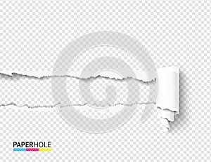 Vector teared off paper hole and scroll with rip edges on transparent background. Empty card banner for advertisement.