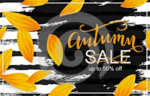 Vector template banner for autumn sale tag design