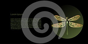 Vector  Template, banner with golden dragonfly on black background, copy space. For invitation, cards or banner and  poster,