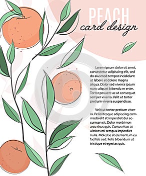 Vector template with peaches, leaves and text. Vegetarian fruit brochure flyer, booklet leaflet with nectarins. Organic