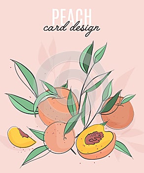 Vector template with peaches, leaves and text. Vegetarian fruit brochure flyer, booklet leaflet with nectarins. Organic