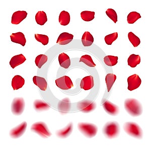 Vector template of red rose petal of different shape isolated on white background. Realistic volumetric blurred burgundy