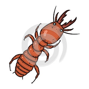 Vector termite. Ant on a white background. Vector illustration.