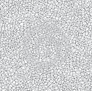 Vector texture of irregular cracks, white background.