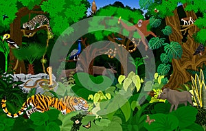 Vector Thailand jungle rainforest illustration with animals