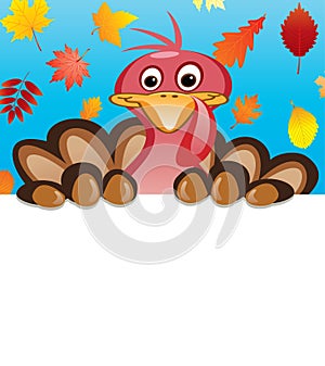 vector thanksgiving day design of turkey