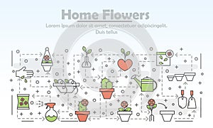 Vector thin line art home flowers poster banner template