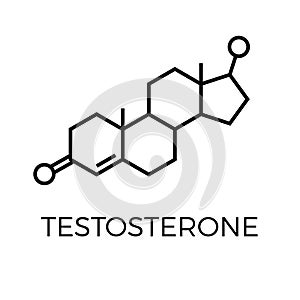 Vector thin line icon of testosterone molecular structure. Chemical formula