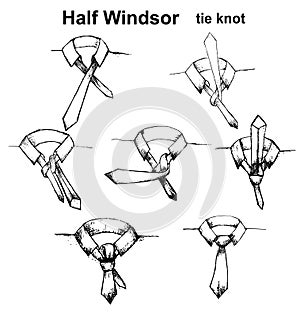 Vector tie and knot instruction