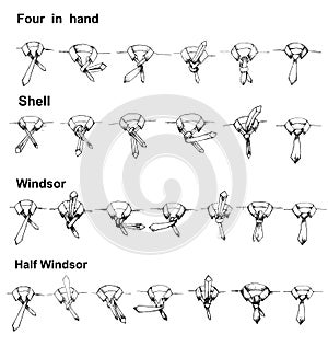 Vector tie and knot instruction