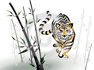 Vector tiger in bamboo