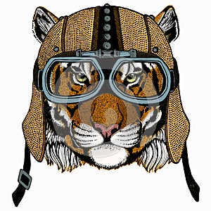 Vector tiger portrait. Animal head.