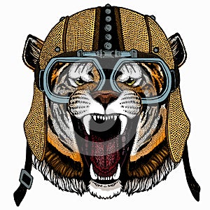 Vector tiger portrait. Animal head.