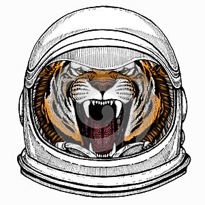 Vector tiger portrait. Animal head. Astronaut animal. Vector portrait. Cosmos and Spaceman. Space illustration about