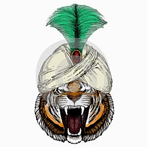 Vector tiger portrait. Animal and wizard hat. Sorcerer and magican